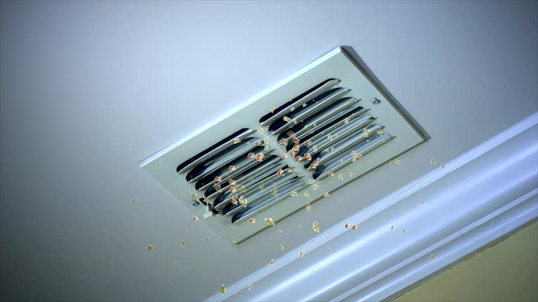 Best Affordable Duct Cleaning Services  in Ocean Pointe, HI
