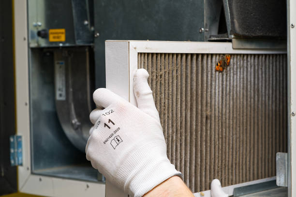 Best Air Duct Cleaning Near Me  in Ocean Pointe, HI